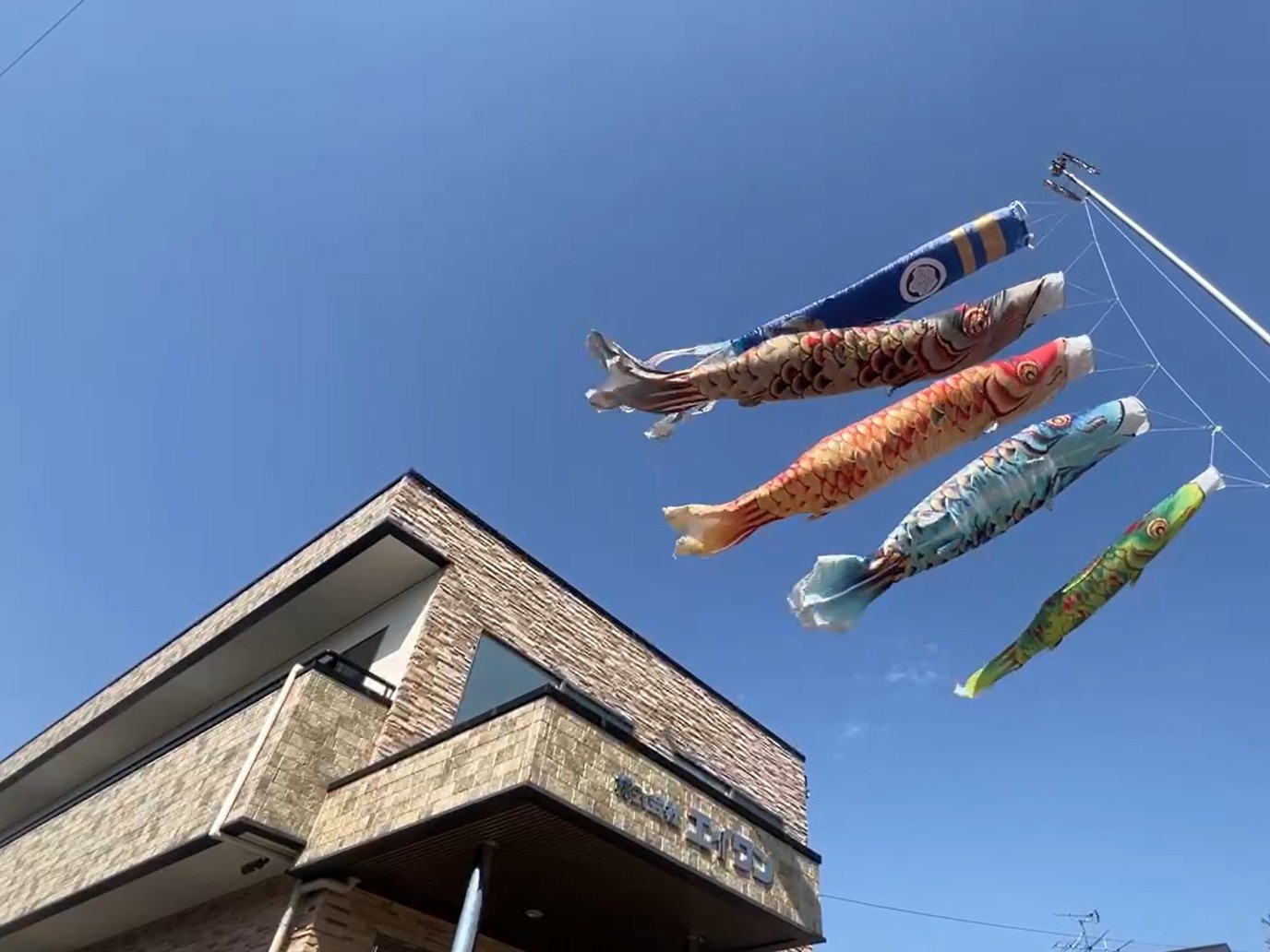 屋根よりたーかぁい鯉のぼり🎏🎶