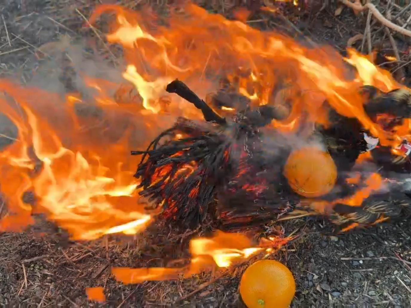 2026年とんど🎍